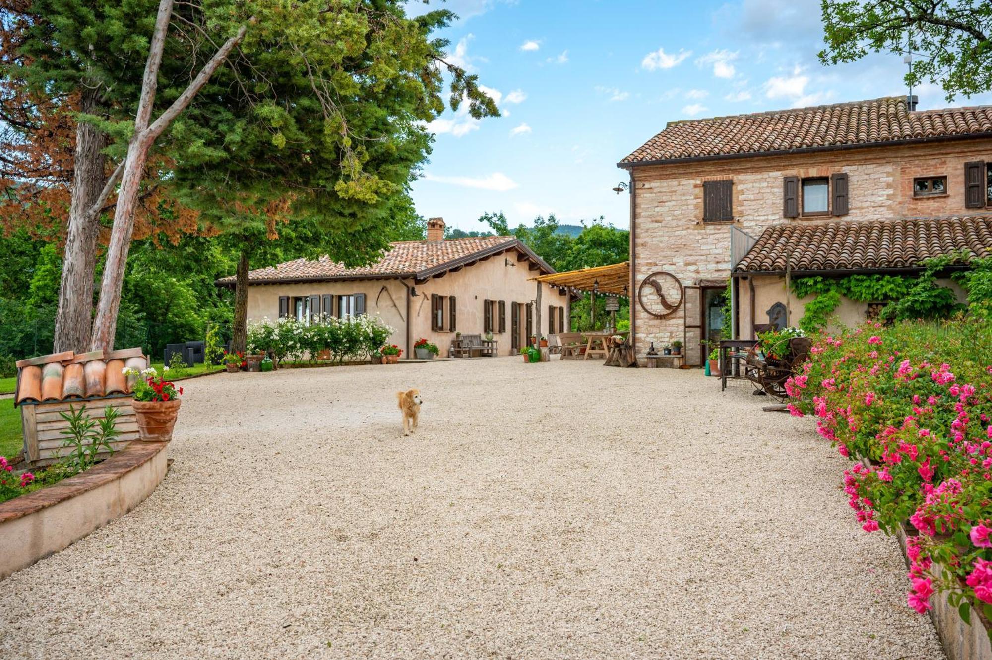 Agriturismo Il Castellaro Sassoferrato Eksteriør billede