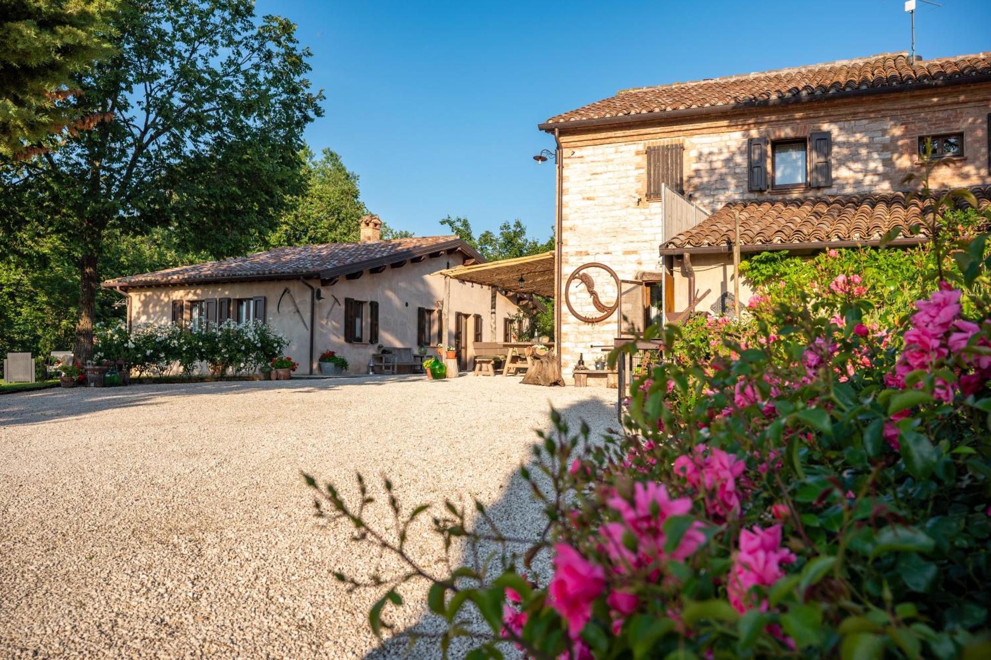 Agriturismo Il Castellaro Sassoferrato Eksteriør billede